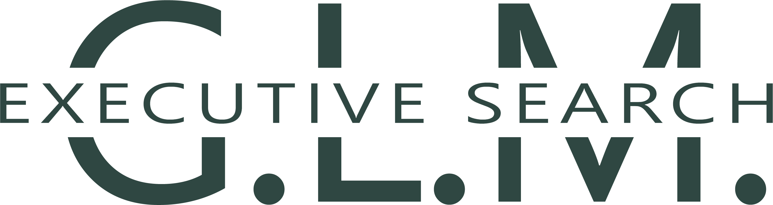 GLM Executive Search logo